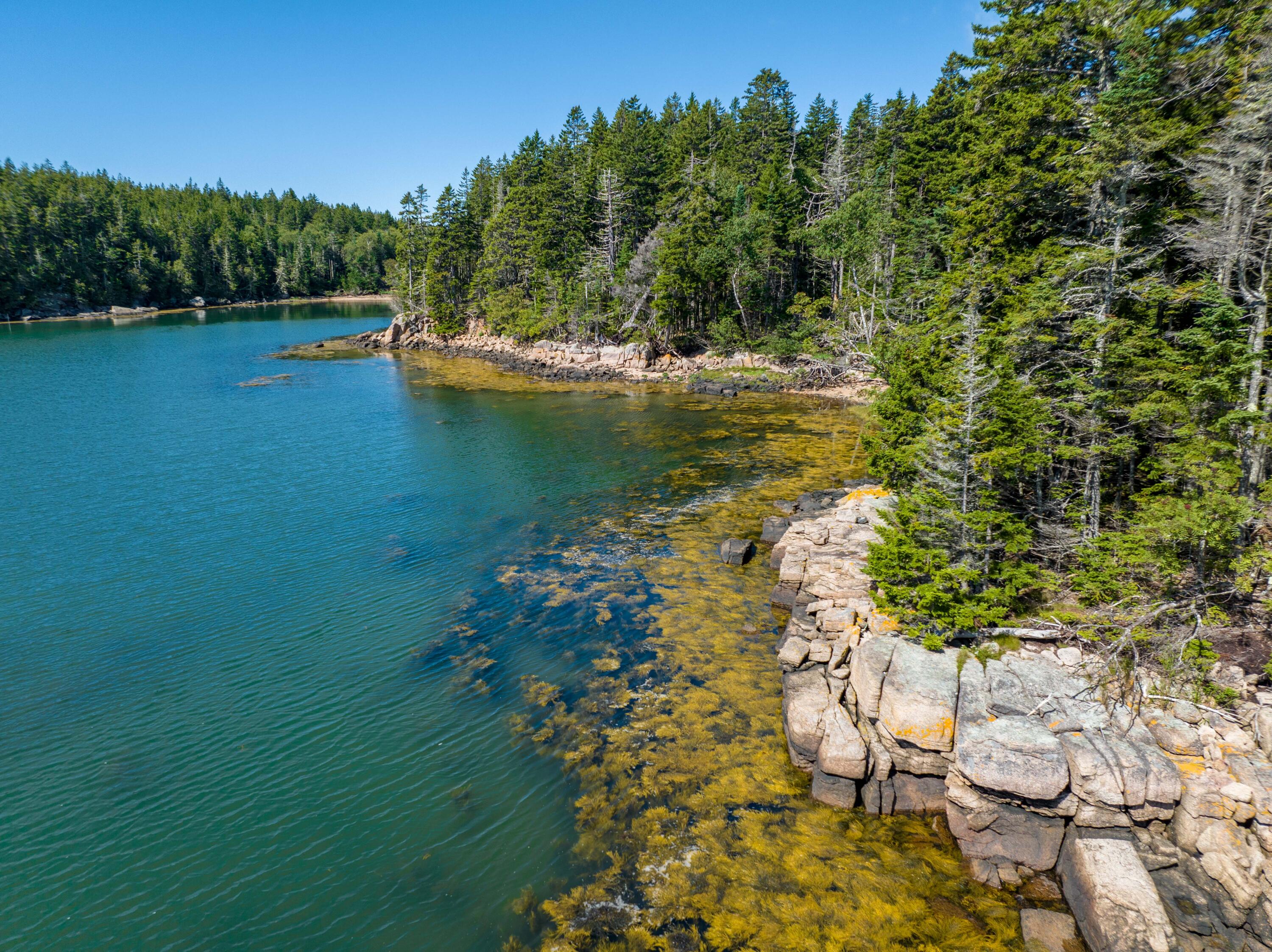 175 Black Duck Cove Road Beals, ME 04611 - Photo 9 of 19 175 Black Duck Cove Rd. Beals (22 of 50)