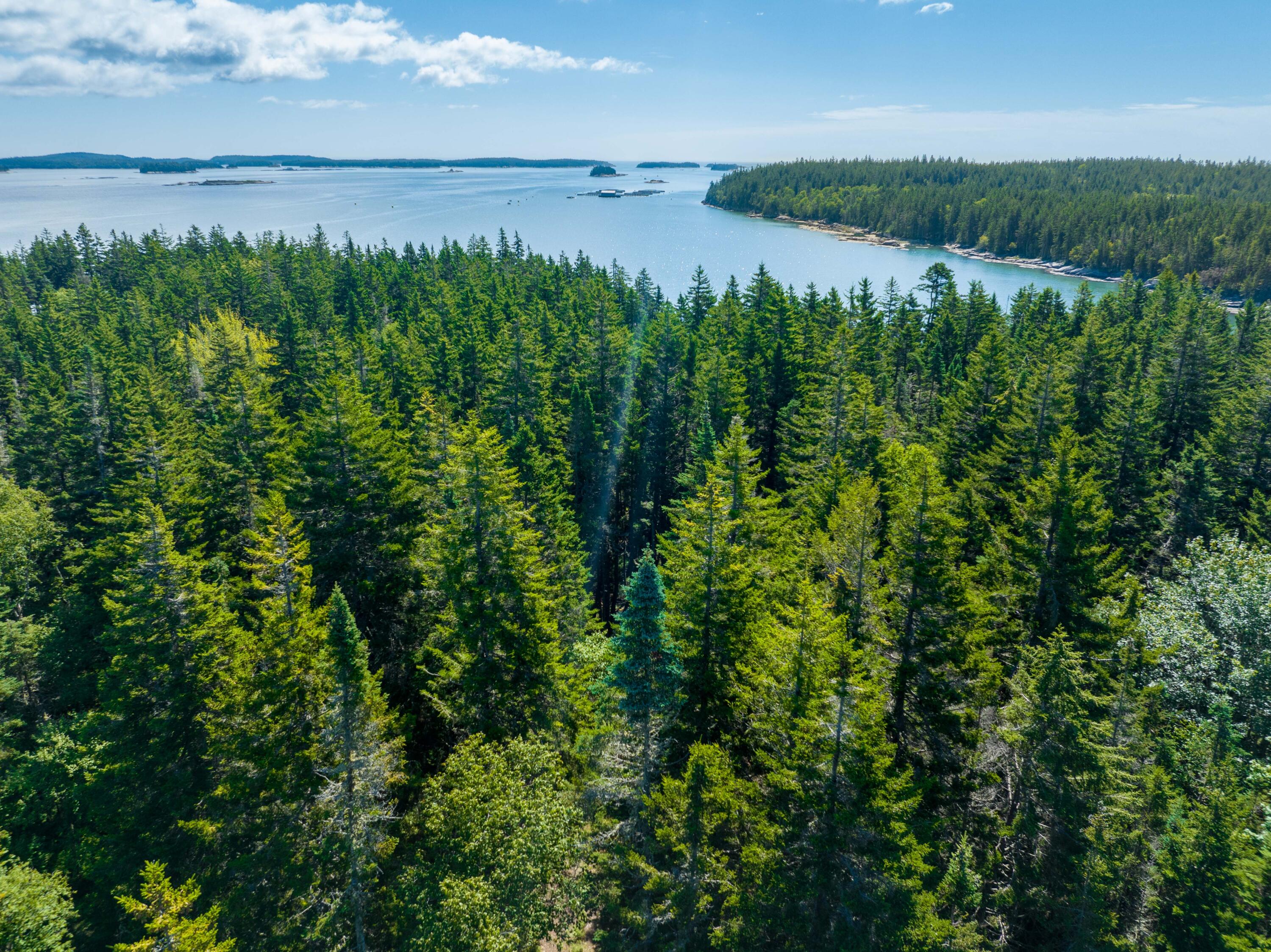 175 Black Duck Cove Road Beals, ME 04611 - Photo 10 of 19 175 Black Duck Cove Rd. Beals (14 of 50)