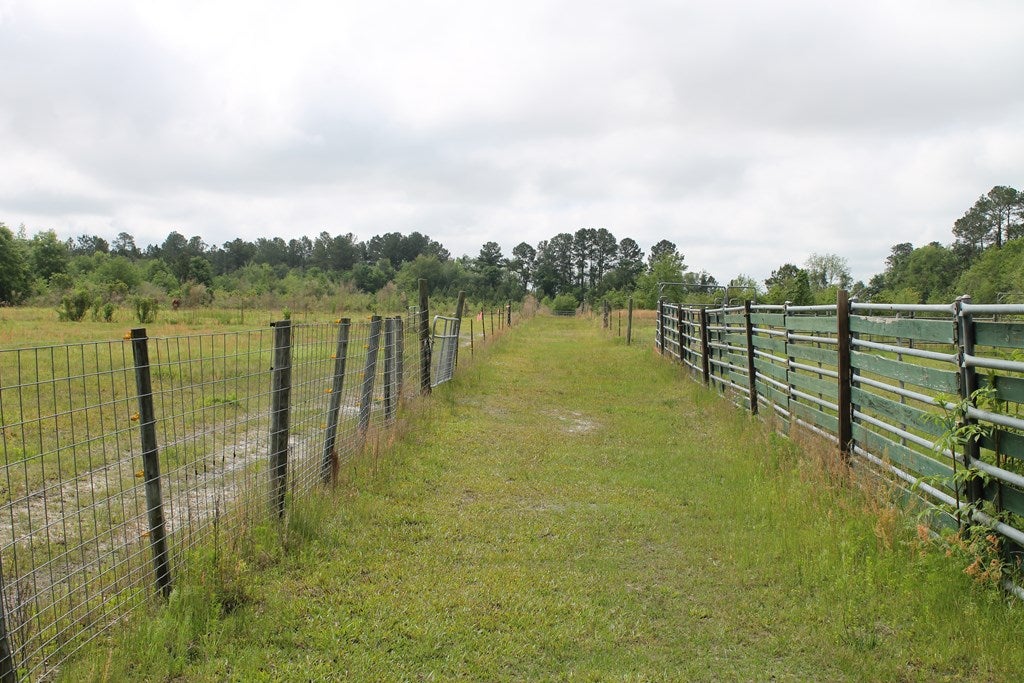 751 Carters Mill Road Barney, GA 31625 - Photo 9 of 11 Gallery Image 9