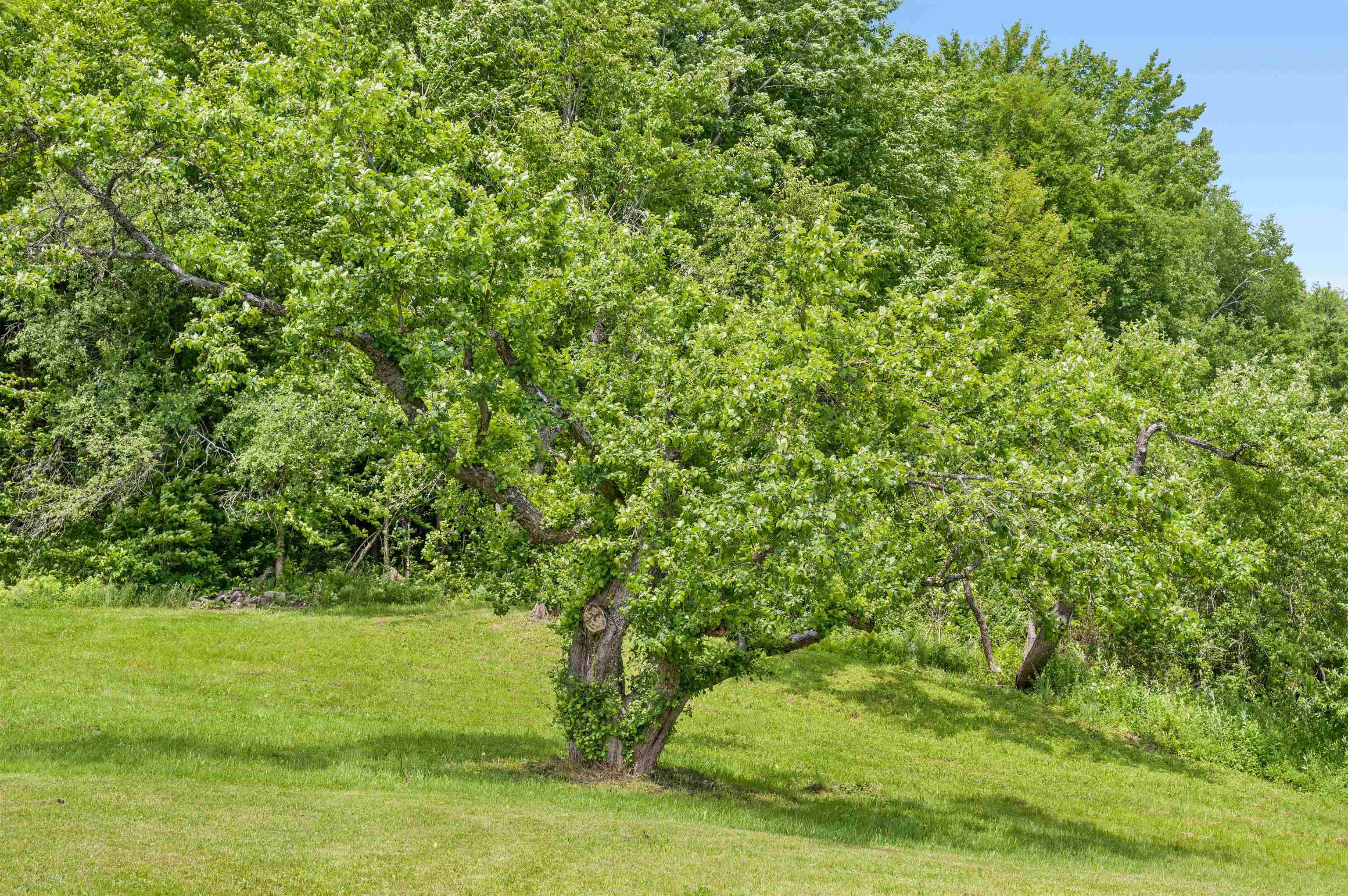 3534 Highway 2 Marshfield, VT 05658 - Photo 39 of 46