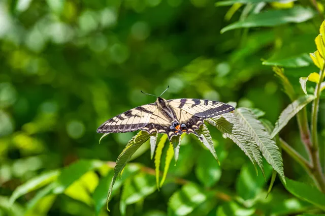 $399,000 | 3534 Highway 2, Marshfield, VT 05658