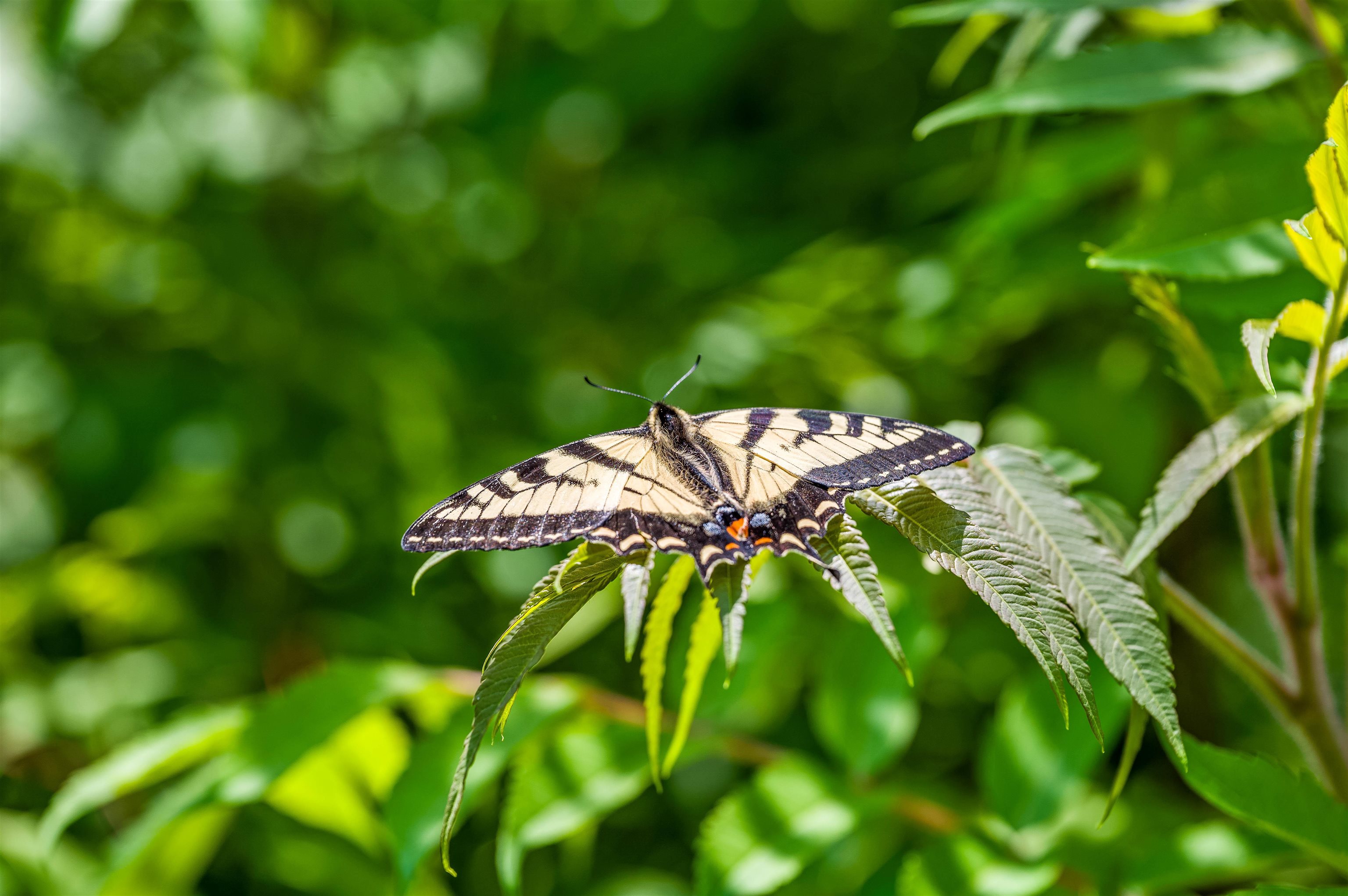 3534 Highway 2 Marshfield, VT 05658 - Photo 4 of 46