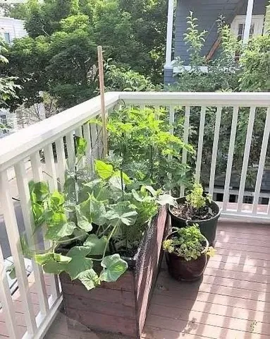 $3,199 | 6 Poplar Road, Unit 3, Cambridge, MA 02138