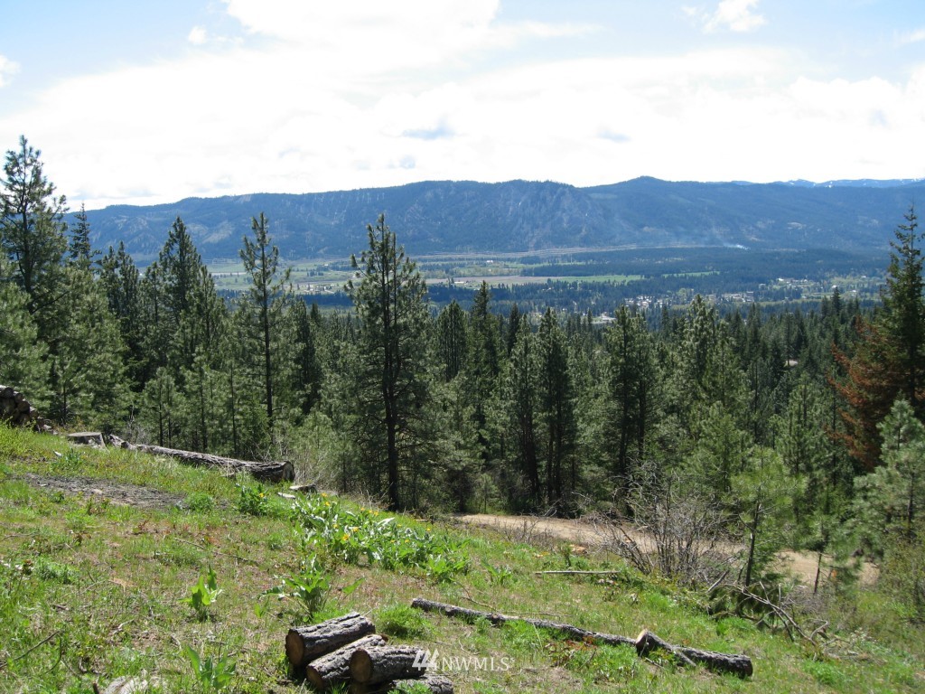 7 Summit View Road Cle Elum, WA 98922 - Photo 11 of 14 Gallery Image 11