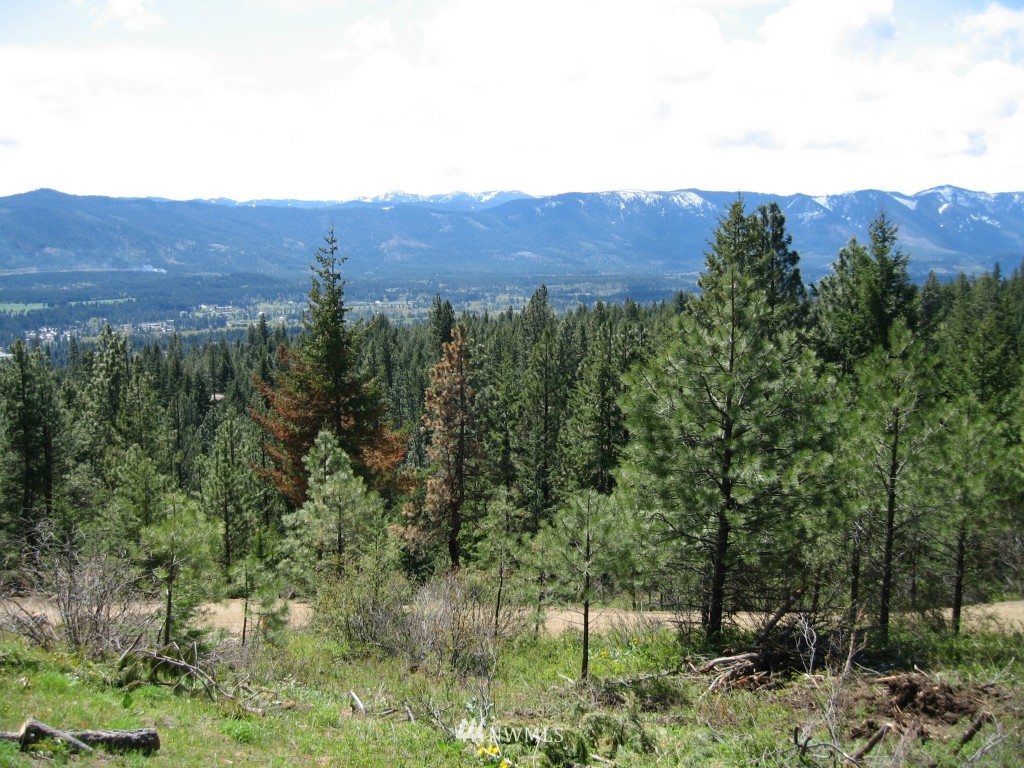 7 Summit View Road Cle Elum, WA 98922 - Photo 12 of 14 Gallery Image 12