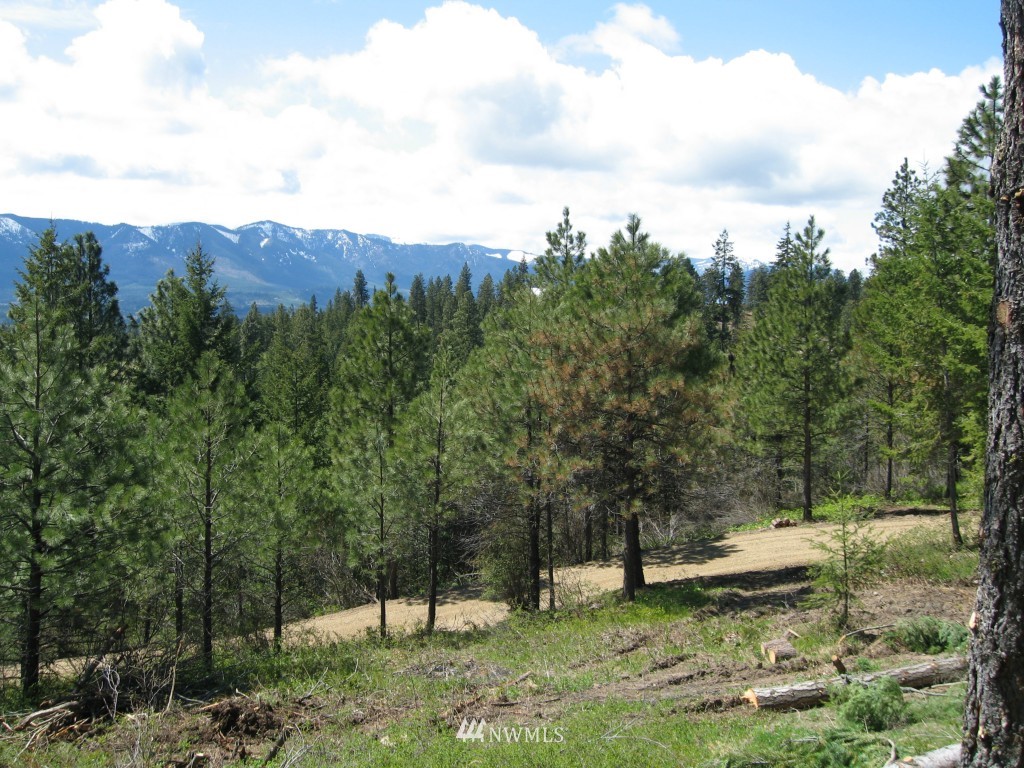 7 Summit View Road Cle Elum, WA 98922 - Photo 13 of 14 Gallery Image 13