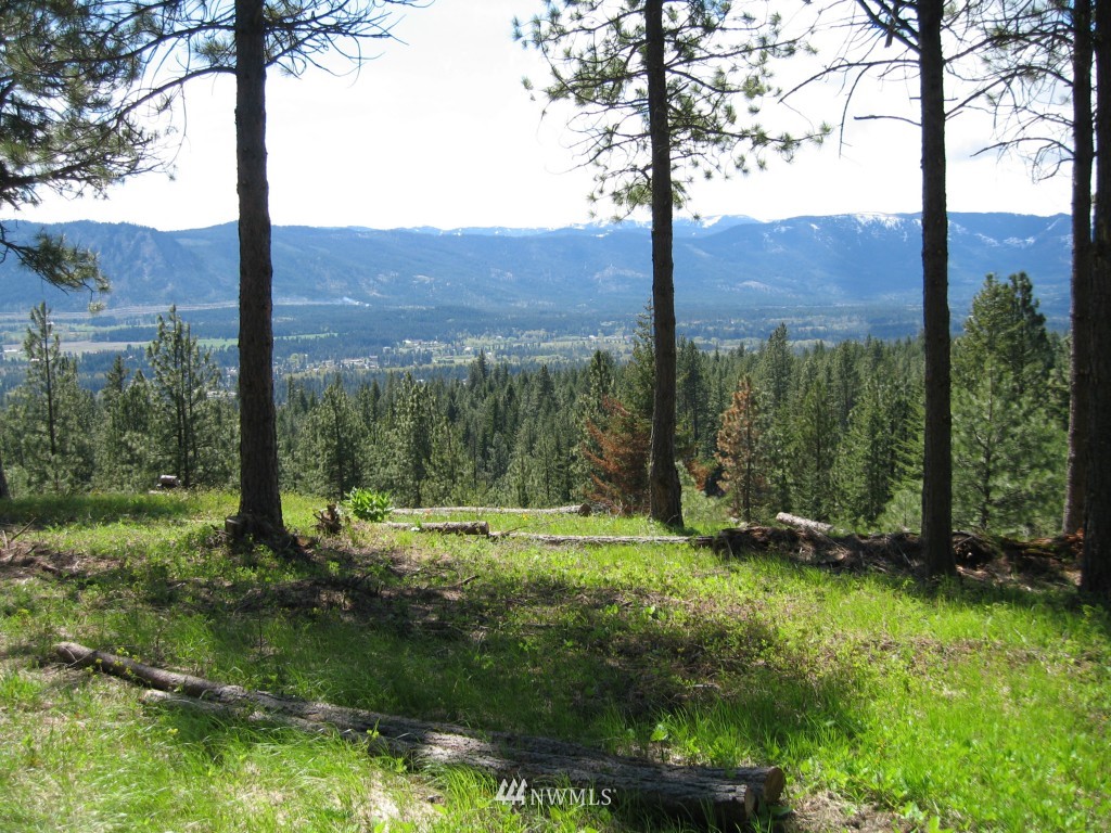 7 Summit View Road Cle Elum, WA 98922 - Photo 14 of 14 Gallery Image 14
