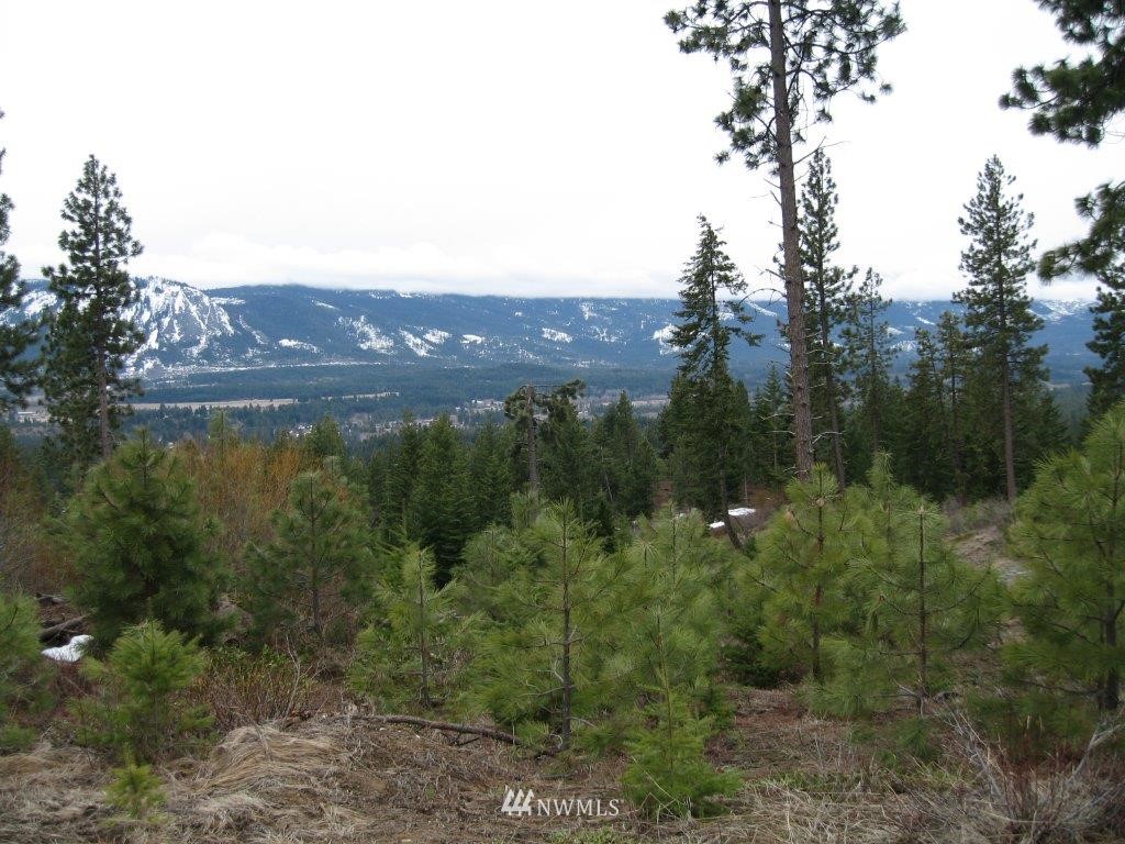 7 Summit View Road Cle Elum, WA 98922 - Photo 4 of 14 Gallery Image 4