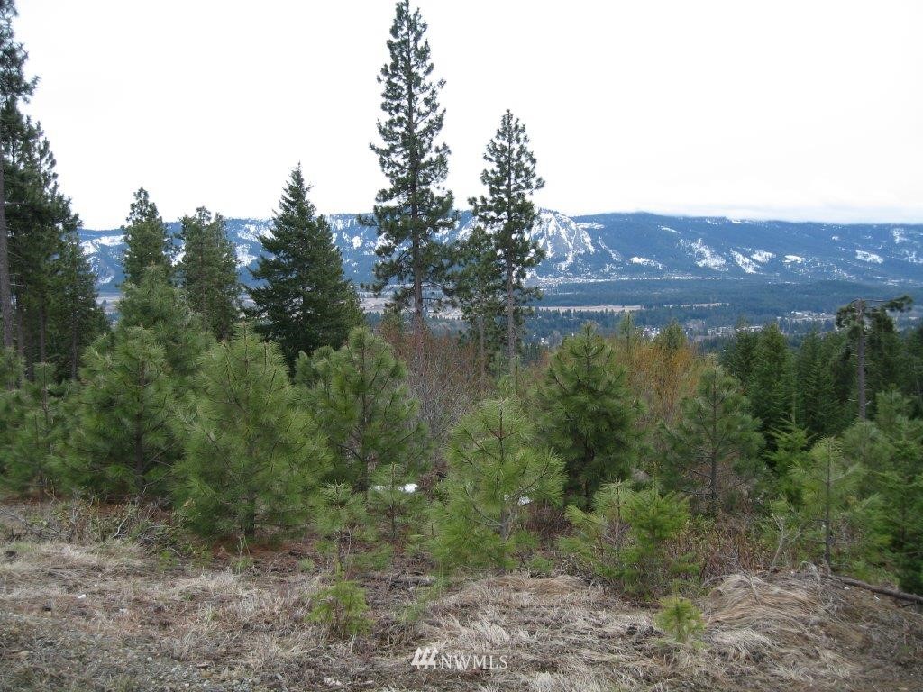 7 Summit View Road Cle Elum, WA 98922 - Photo 5 of 14 Gallery Image 5