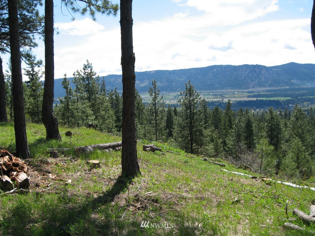 7 Summit View Road Cle Elum, WA 98922 - Photo 10 of 14 Gallery Image 10