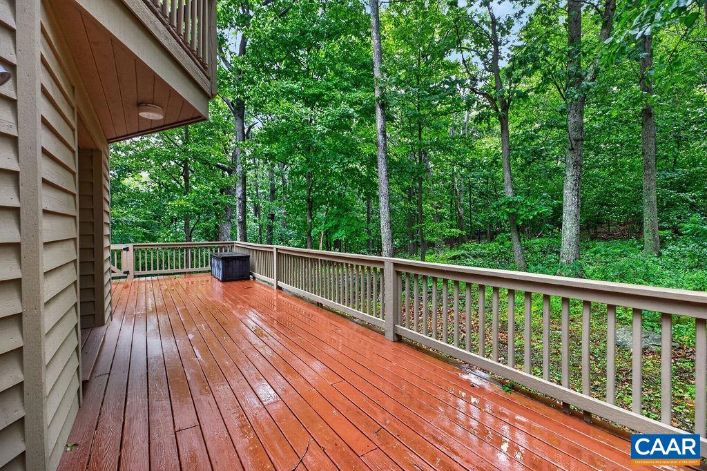 24 Pedlars Point Wintergreen, VA 22967 - Photo 43 of 51