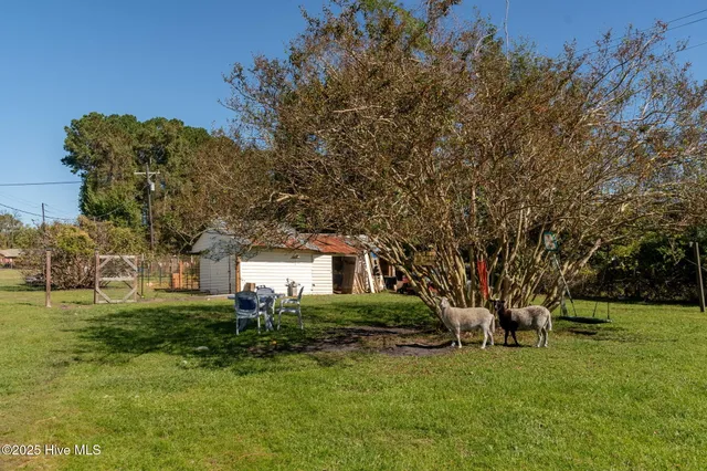 $220,000 | 1021 Church Street, Willard, NC 28478