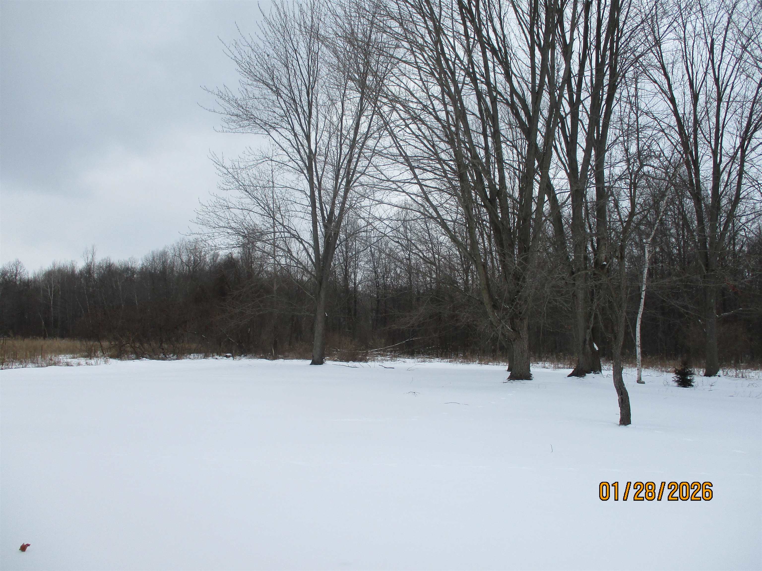 12510 Sheridan Road Burt, MI 48417 - Photo 18 of 19