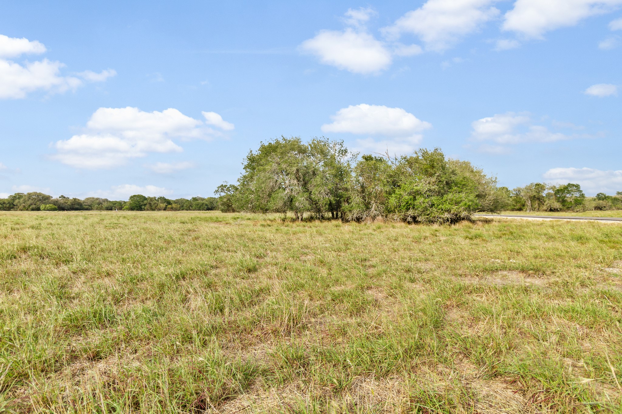 6 Fm 530 Edna, TX 77957 - Photo 8 of 27