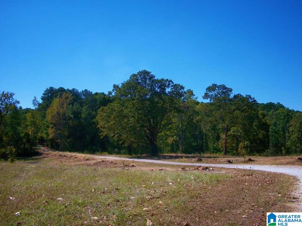 205 Gessler Drive Ohatchee, AL 36271 - Photo 35 of 50