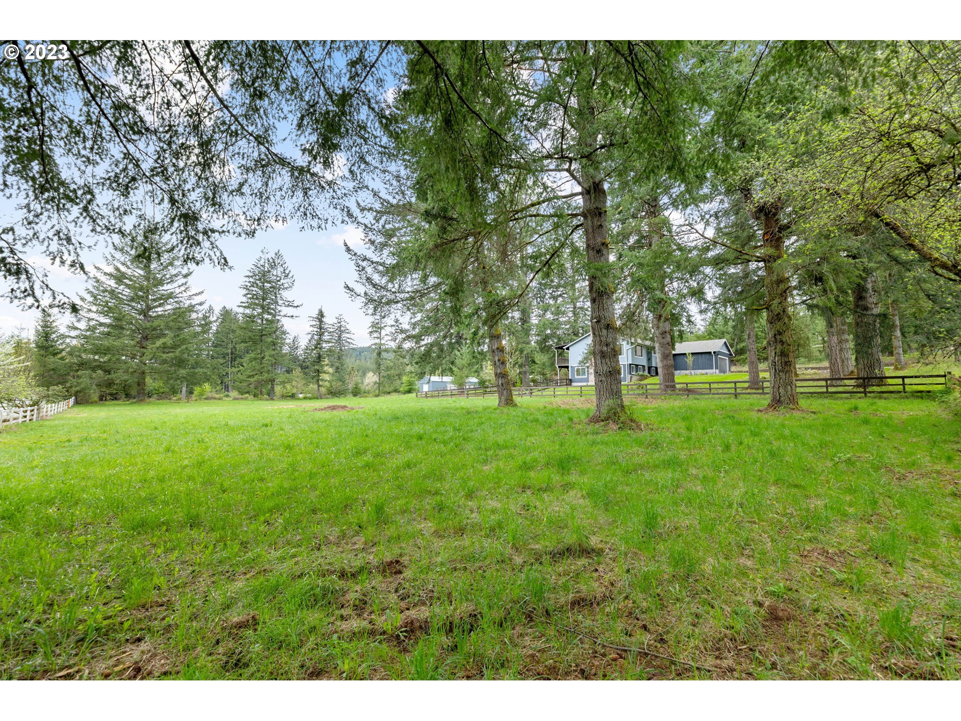 4412 Northeast 292nd Avenue Camas, WA 98607 - Photo 44 of 48 a green field with lots of trees