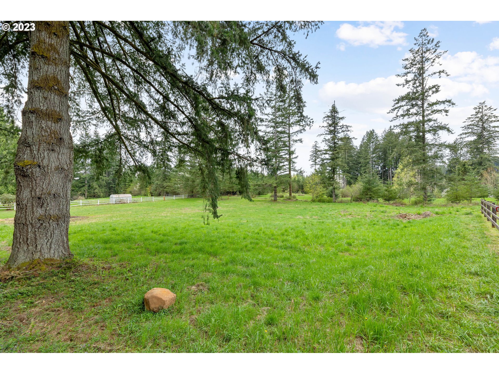 4412 Northeast 292nd Avenue Camas, WA 98607 - Photo 45 of 48 a view of a tree in a field