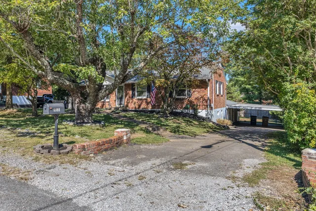 a view of a yard with plants and trees