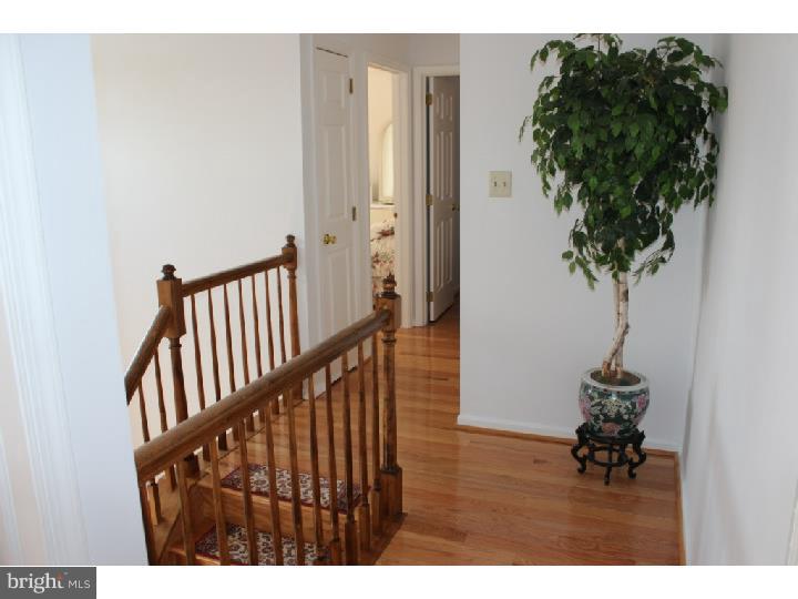 466 Ridge Lane Springfield, PA 19064 - Photo 13 of 25