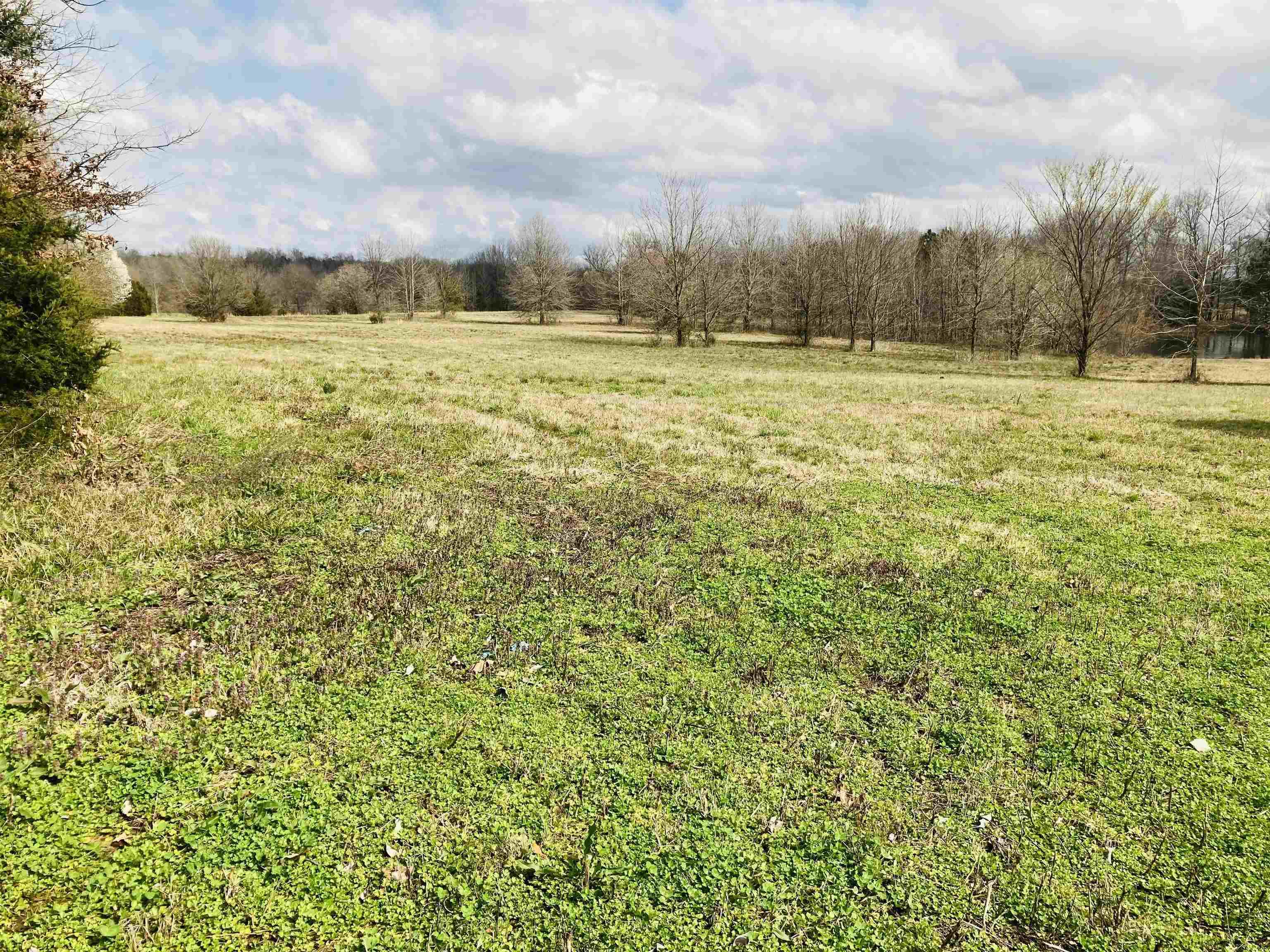 693 West Main Street Adamsville, TN 38310 - Photo 9 of 17 Gallery Image 9