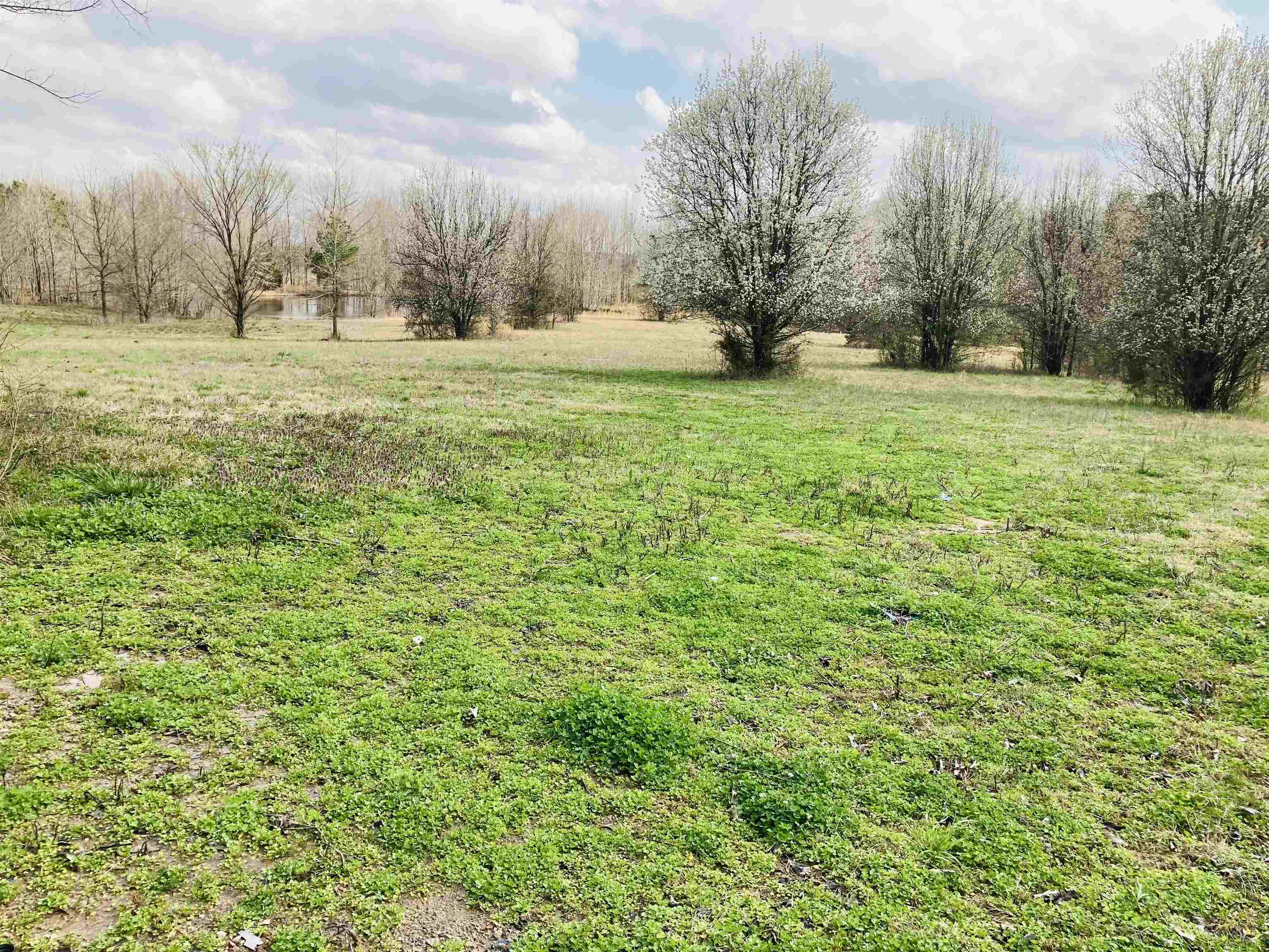 693 West Main Street Adamsville, TN 38310 - Photo 10 of 17 Gallery Image 10