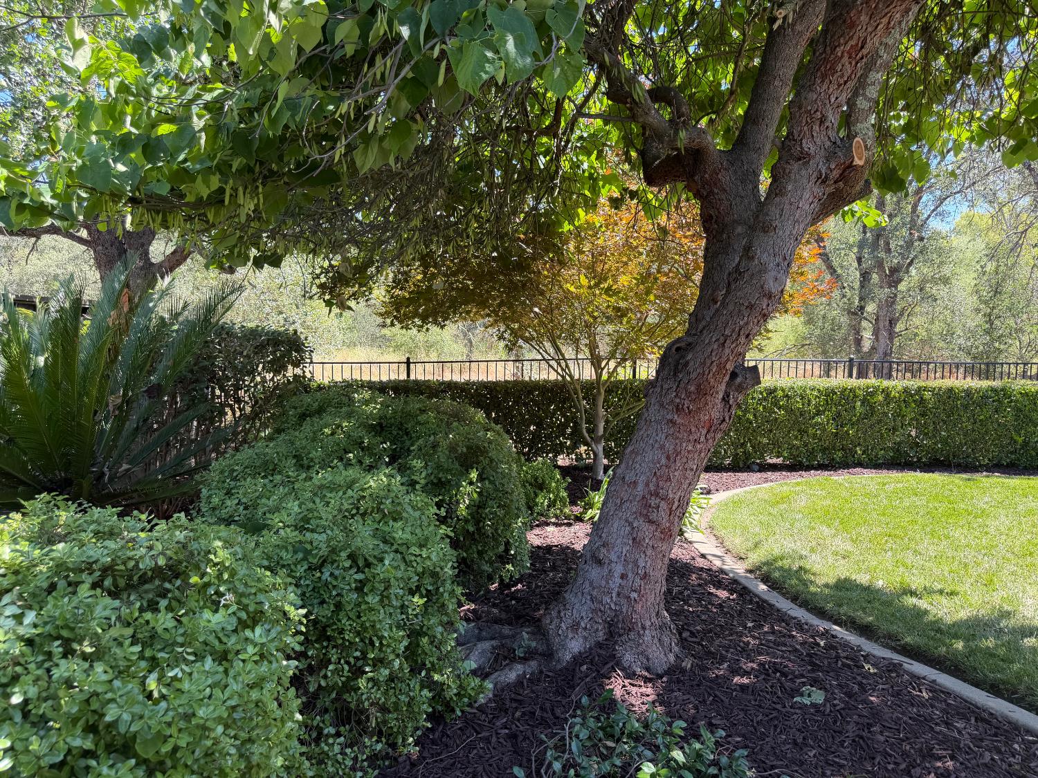 9454 Crocker Road Granite Bay, CA 95746 - Photo 45 of 46