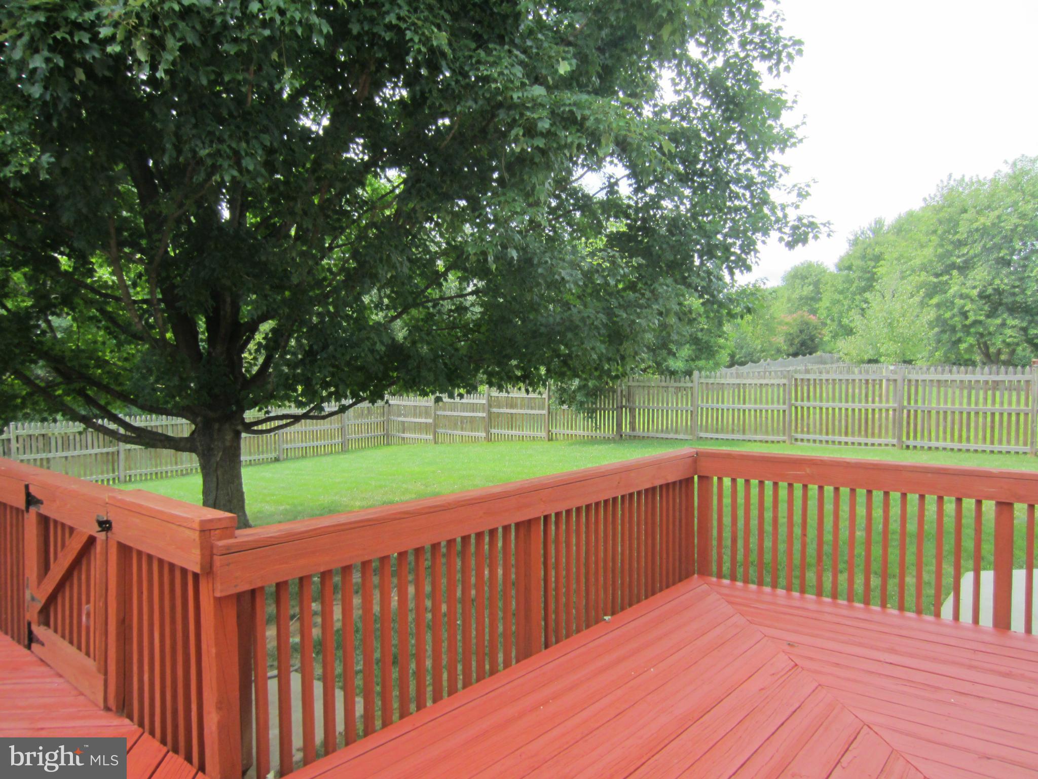 14316 Twig Road Silver Spring, MD 20905 - Photo 24 of 29 a view of deck with a backyard