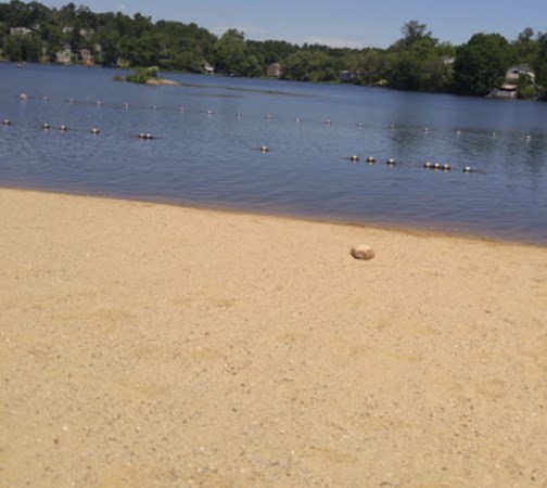 13 Elmtree Road Billerica, MA 01821 - Photo 33 of 36