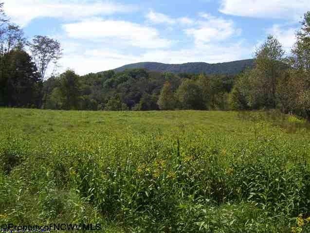 0 Pennington Road Dryfork, WV 26263 - Photo 1 of 10 Gallery Image 1