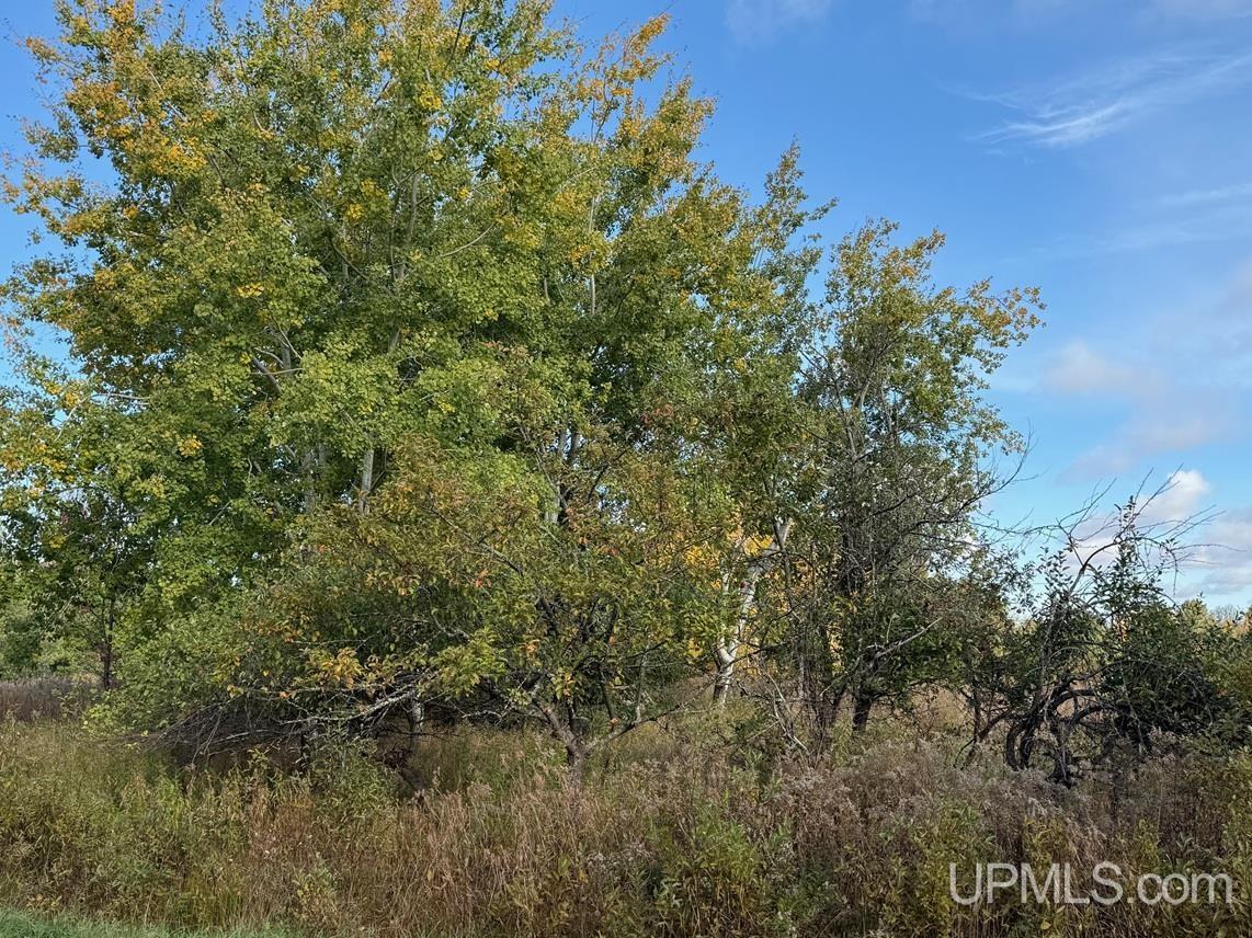 Tbdc20 South Firesteel Road Ontonagon, MI 49953 - Photo 8 of 11