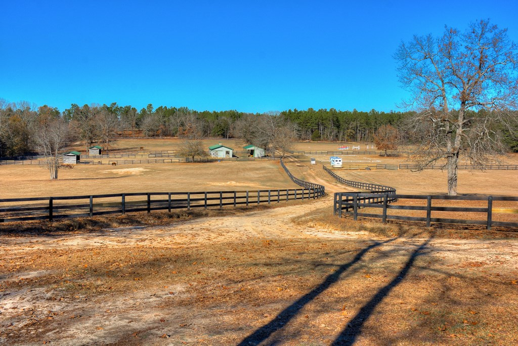 448 Long Cane Road Williston, SC 29853 - Photo 24 of 53