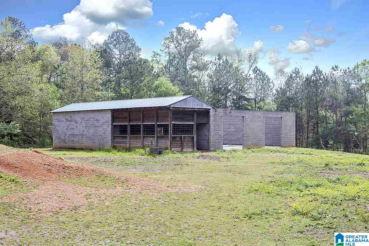 950 Deer Trace Road Pell City, AL 35125 - Photo 4 of 50