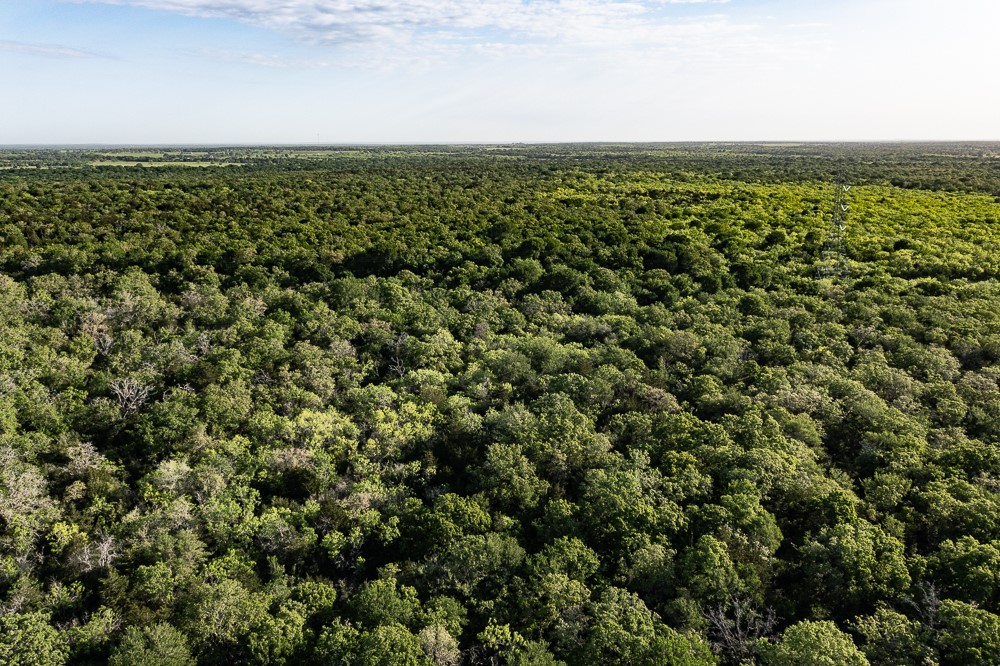 Tbd Anchor Ranch Loop Flatonia, TX 78941 - Photo 9 of 15 an aerial view of a houses with a yard