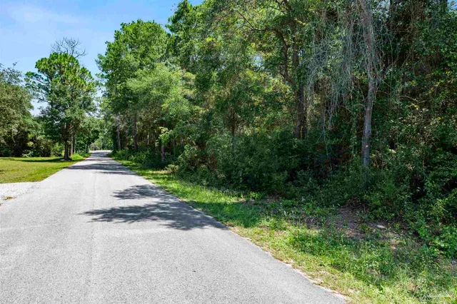 a view of a yard with a trees