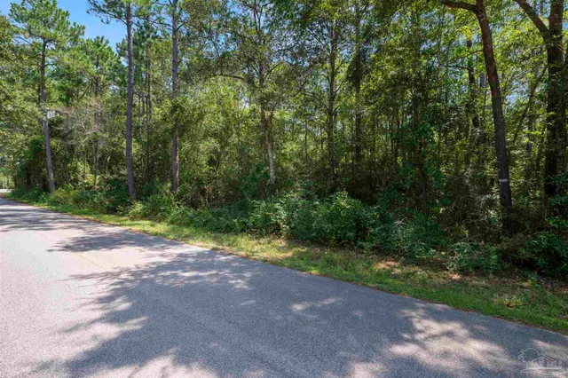 a view of a yard with a house