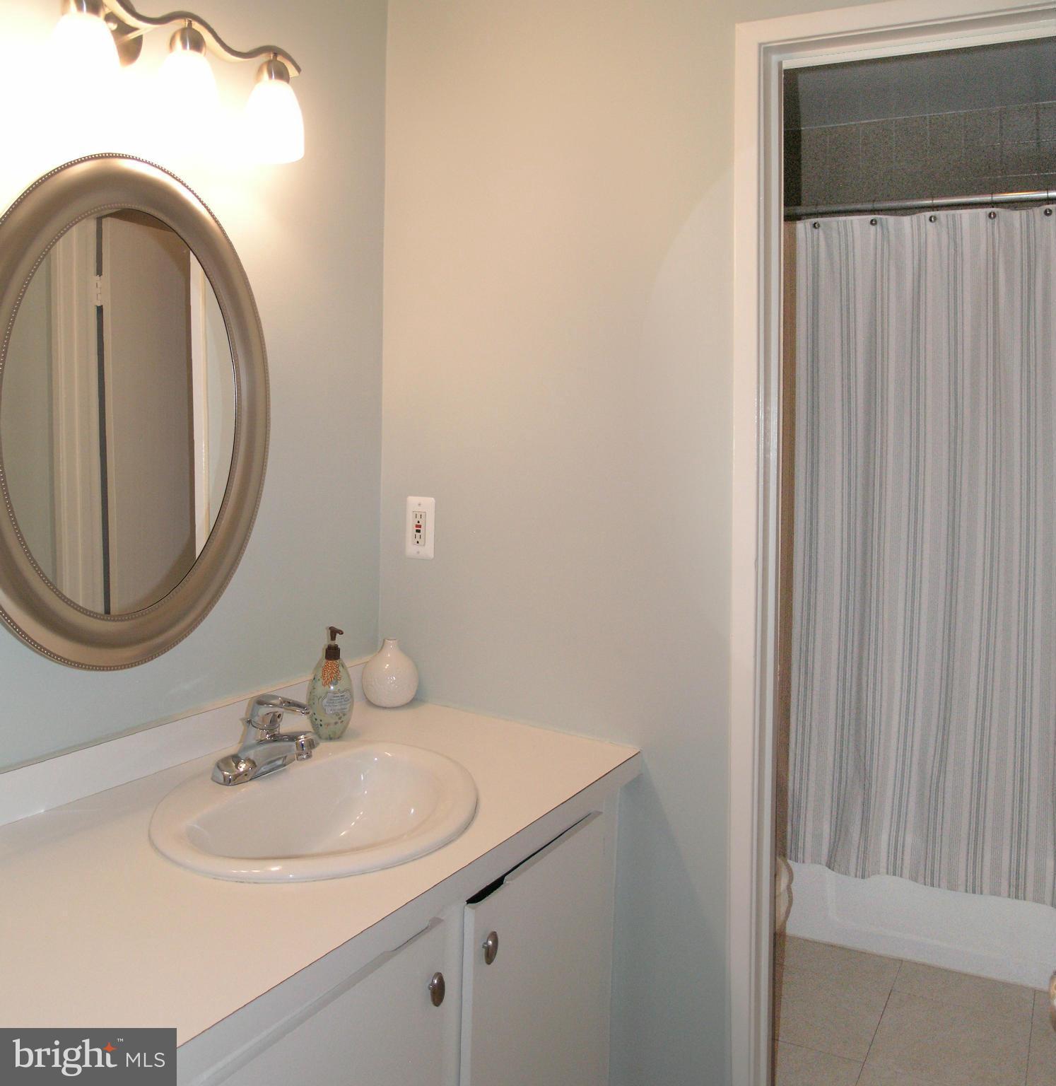 11794 Indian Ridge Road Reston, VA 20191 - Photo 18 of 28 Bath (Master)