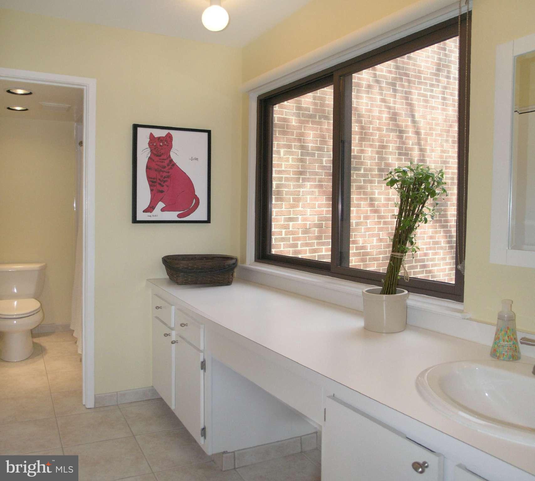 11794 Indian Ridge Road Reston, VA 20191 - Photo 20 of 28 Bath Hall