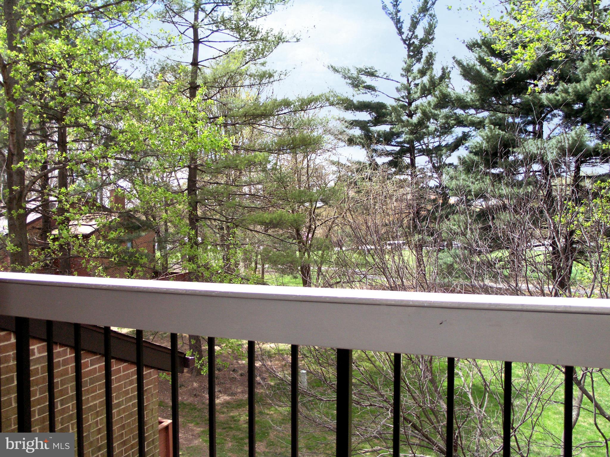 11794 Indian Ridge Road Reston, VA 20191 - Photo 24 of 28 Private Balcony off Top Floor