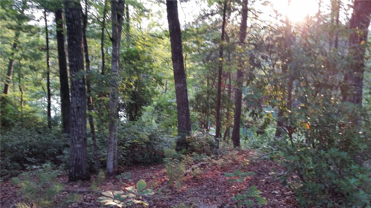 J20 Jocassee Point Road Salem, SC 29676 - Photo 1 of 1 Gallery Image 1