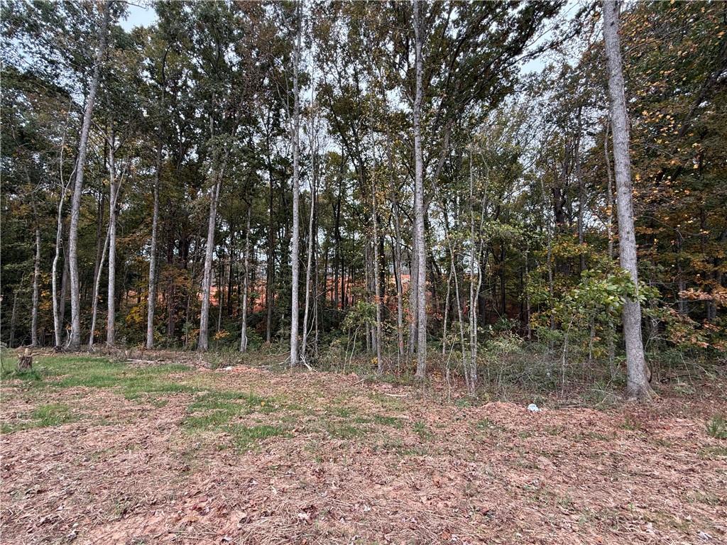 3229 Traditions Way Jefferson, GA 30549 - Photo 43 of 43 a backyard of a house with lots of trees