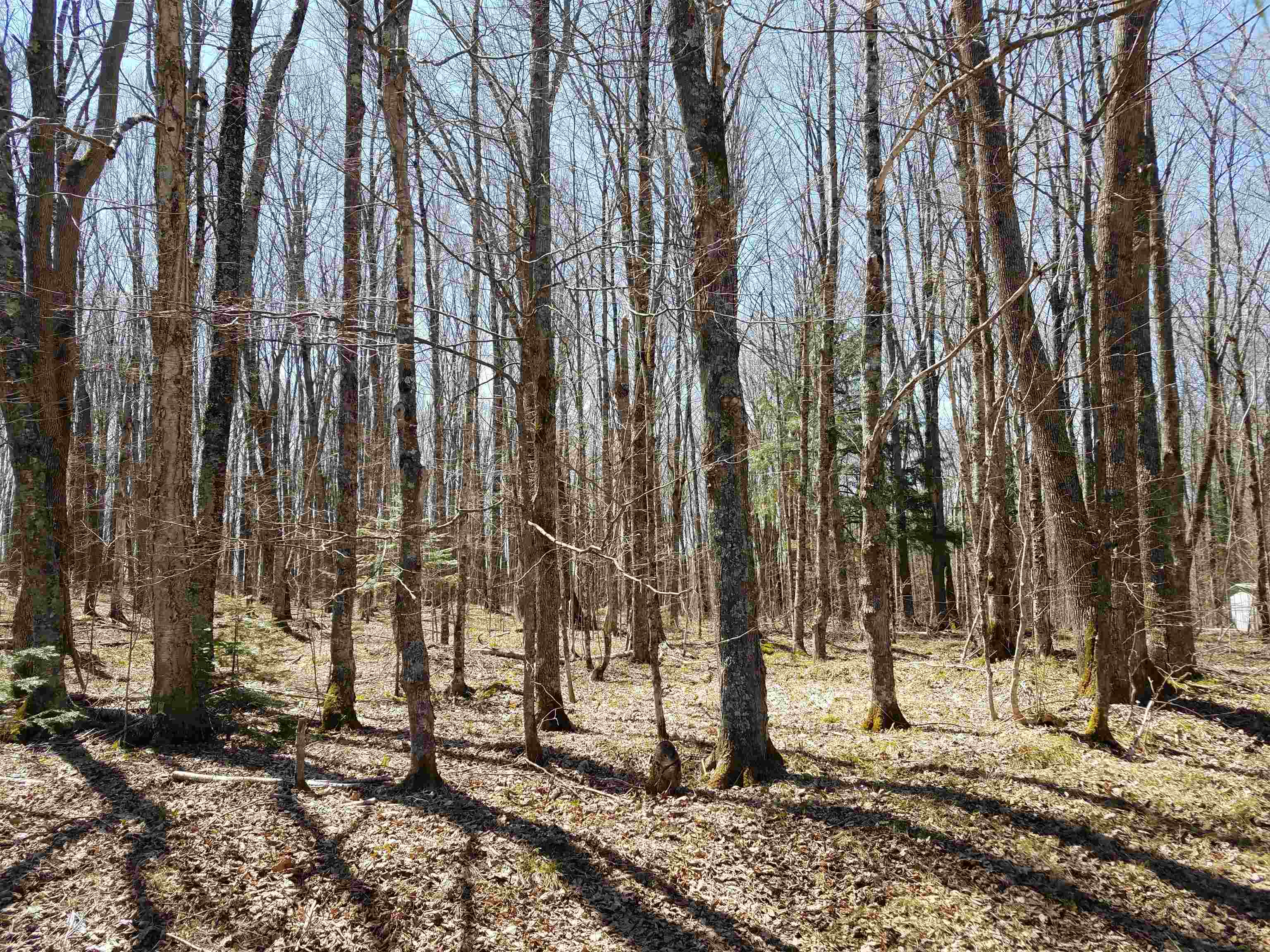 Badger Ranch Rd Valley White Lake, WI 54491 - Photo 1 of 1