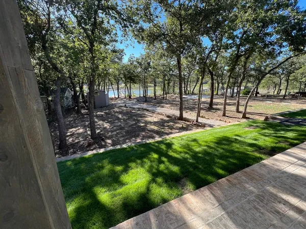 a view of yard