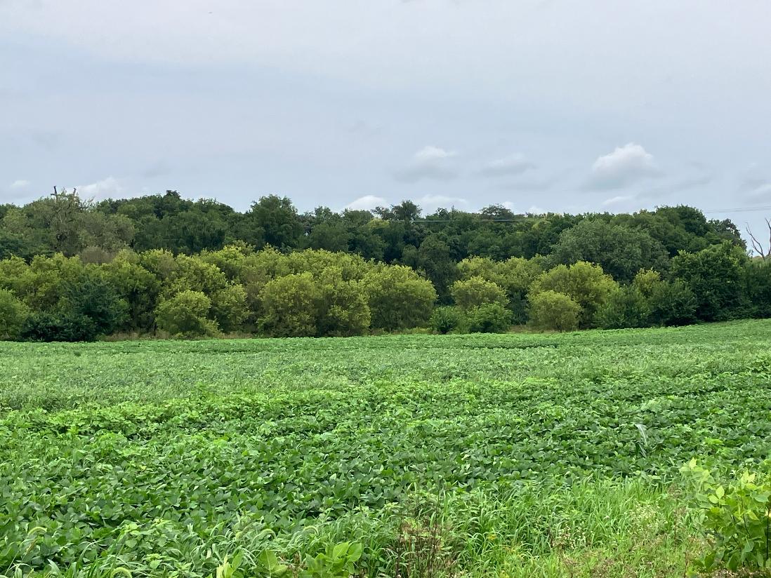 0 Pilgrim Road Dixon, IL 61021 - Photo 8 of 20 Gallery Image 8