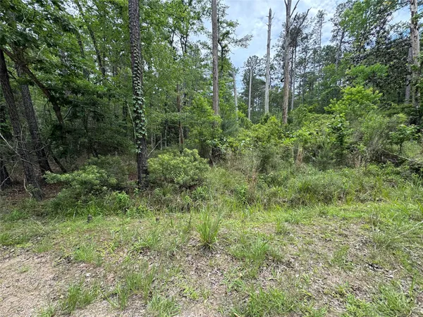 $39,000 | 239238 Arborcrest Drive, Brookeland, TX 75931