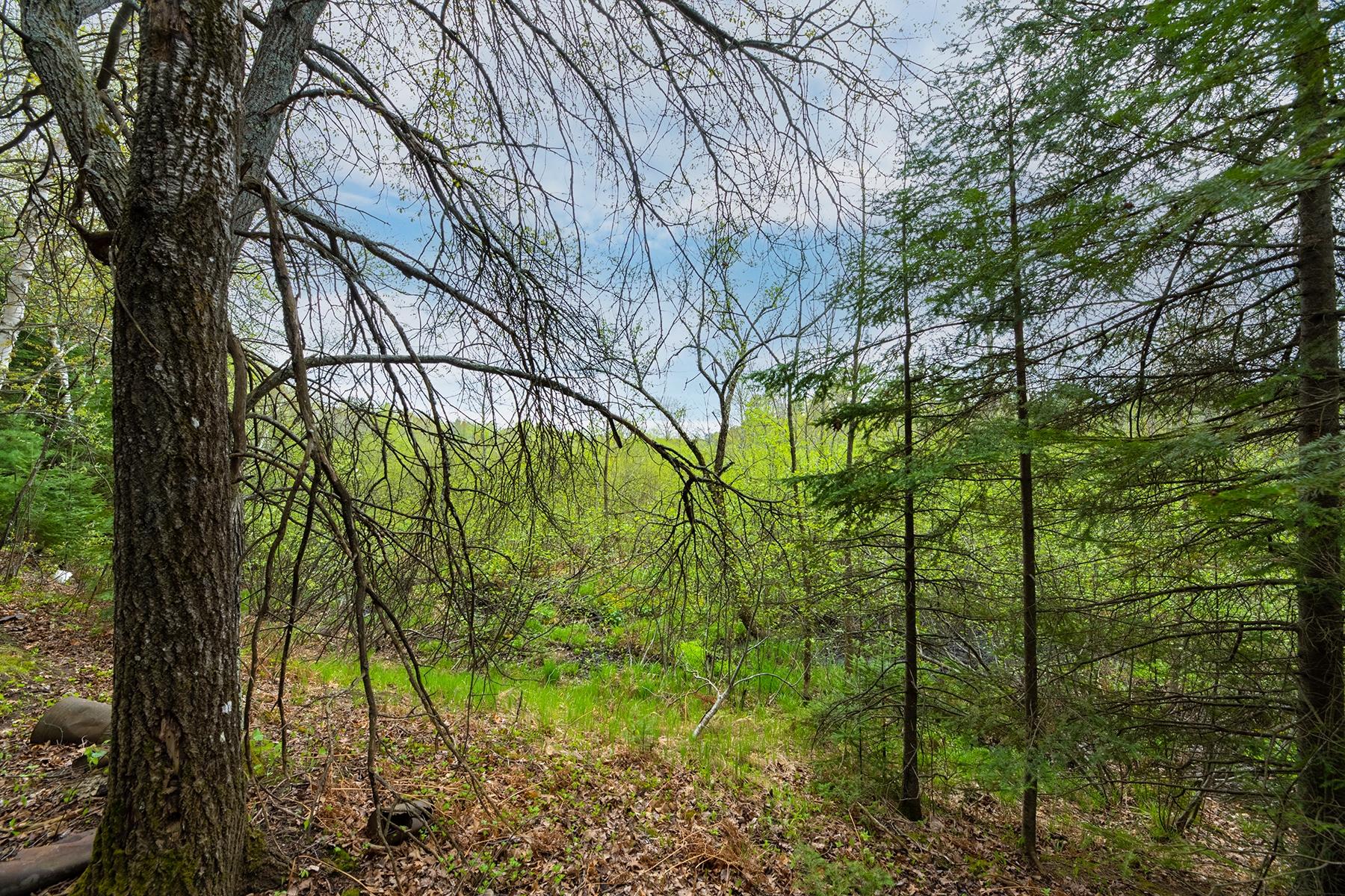 611 West Dyer Farm Road Eagle River, WI 54521 - Photo 12 of 22 Gallery Image 12