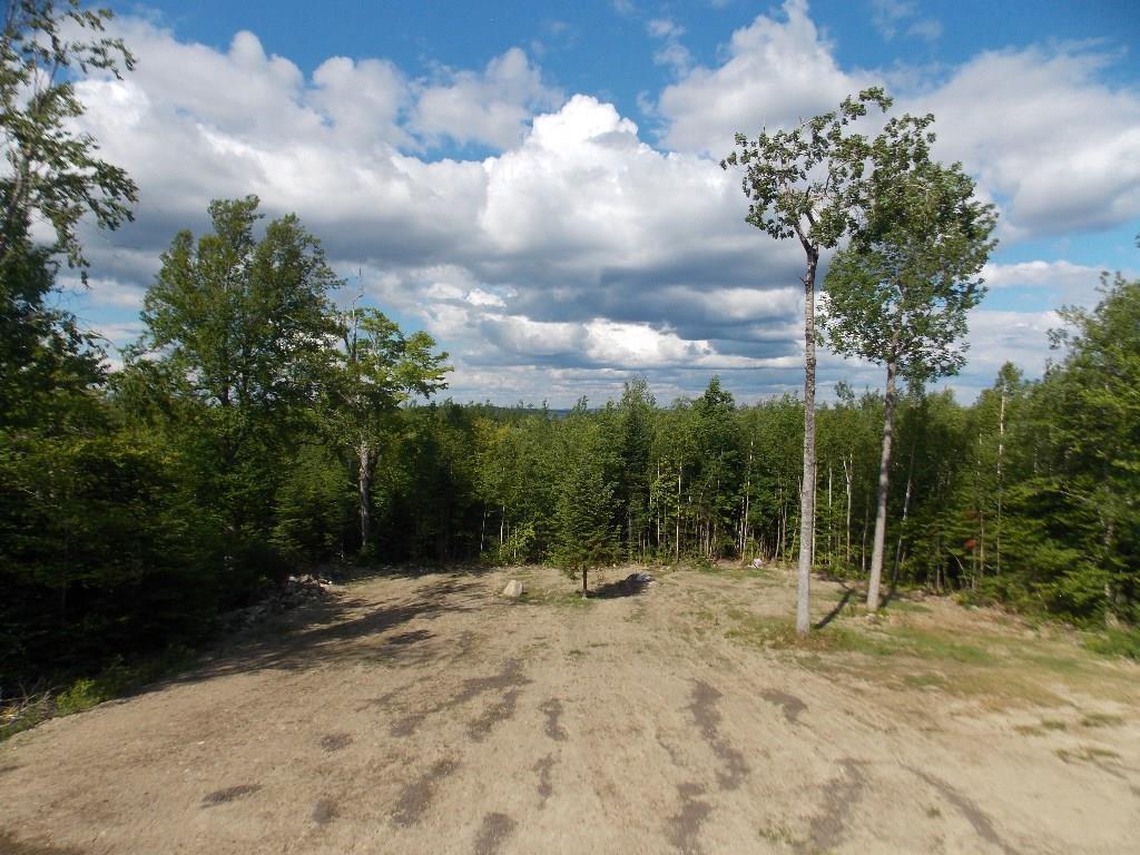 700 Cooper Road Alexander, ME 04694 - Photo 7 of 33 30 acres
