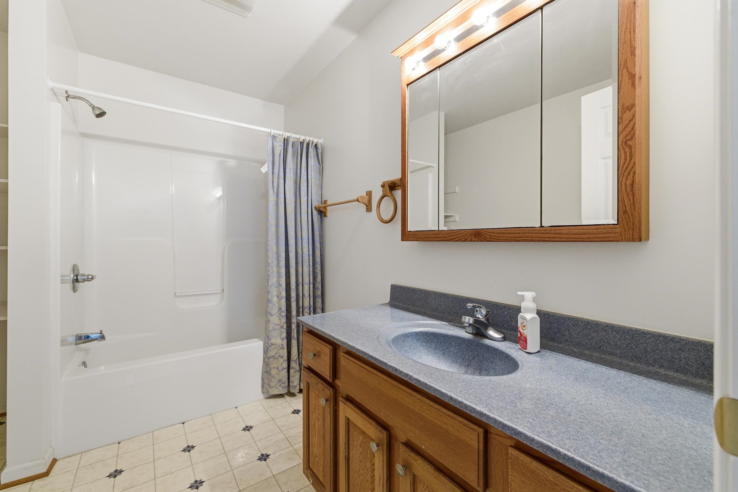 7 Blue Rdg Court Luray, VA 22835 - Photo 39 of 55 Primary BA shower/tub combo