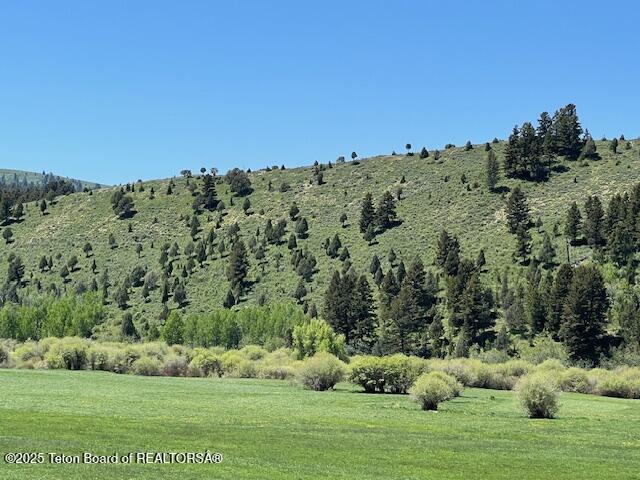 5000 Spring Creek Road Fairview, WY 83119 - Photo 39 of 41 IMG_4062