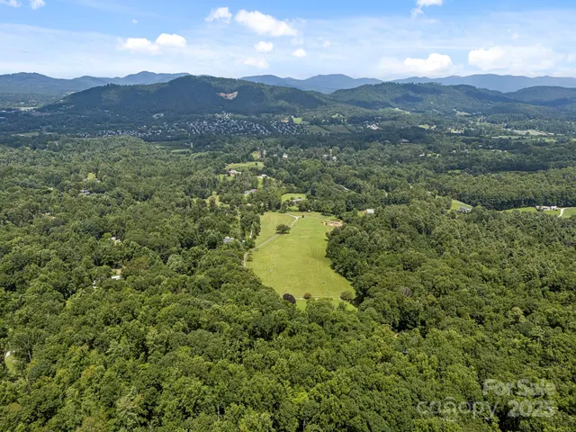 a view of a lush green hillside and houses