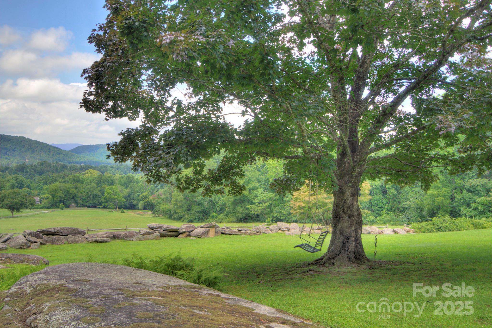 193 Duncan Creek Road Fletcher, NC 28732 - Photo 13 of 48 a view of a garden with a tree